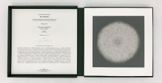 Fungi (Coffret)