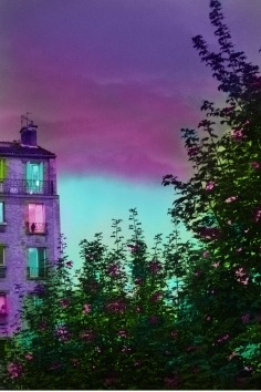 Martine Aballéa, Crépuscule