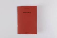 Délits d'objets, 2019