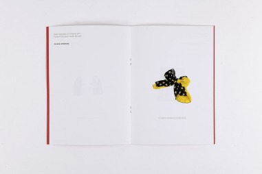 Délits d'objets, 2019