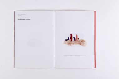 Délits d'objets, 2019