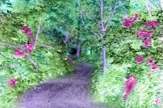 Chemin, 2019