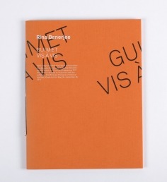 Rina Banerjee, vis-à-vis