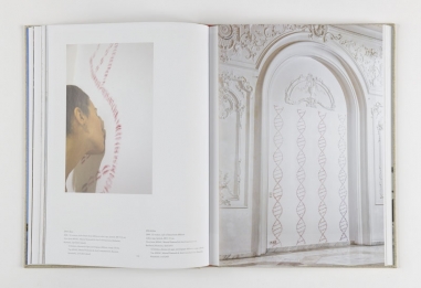 Mircea Cantor – Monograph