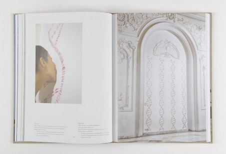 Mircea Cantor – Monograph
