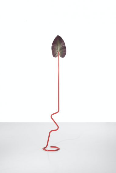 Plantasia (rouge)