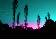 Carte postale n°3