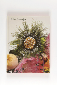 Rina Banerjee, 2015