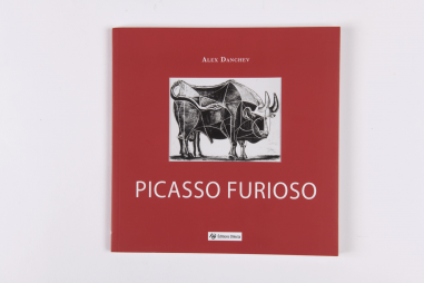 Picasso Furioso