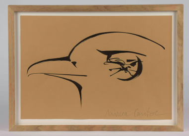Aquila non capit muscas