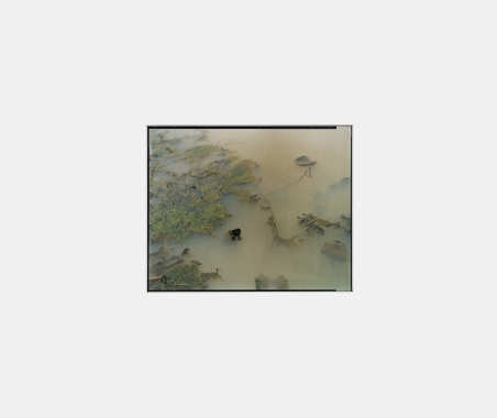 Sans titre (Mare)