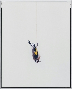 Sans titre (Oiseaux) 2