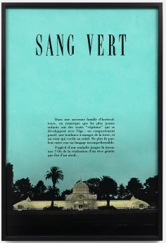 Sang Vert