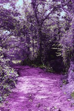 Warm Gardens (Bretagne)