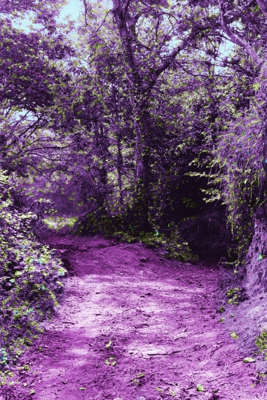 Warm Gardens (Bretagne)
