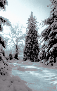 Jus des Neiges
