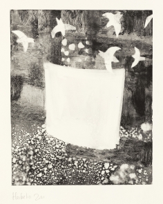 Hirondelles