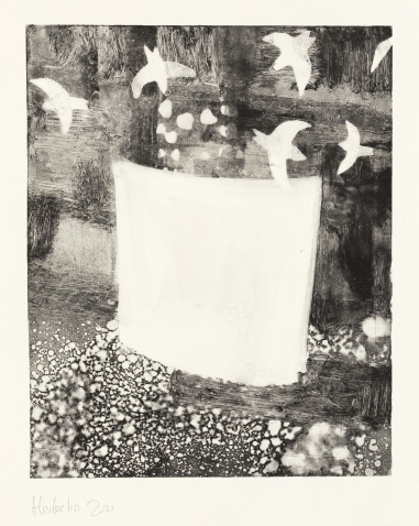 Hirondelles