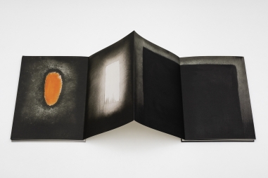 Anish Kapoor