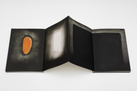 Anish Kapoor