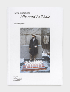 David Hammons - Bliz-aard...