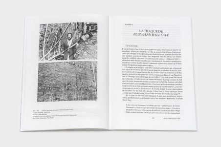 David Hammons - Bliz-aard Ball Sale