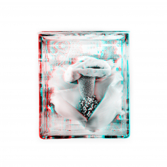 White III - Amor Phophallus