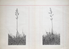 La grande herbe