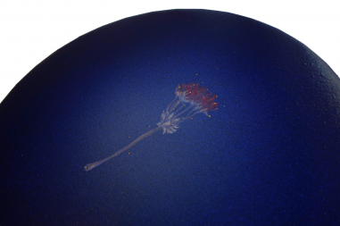 Constellation florale 2