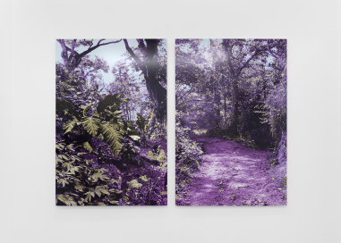 Warm Gardens (Hawaï)