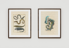 Untitled (L’Anguille, le...