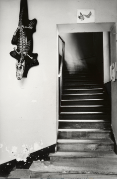 Le Fantôme de l'escalier au...