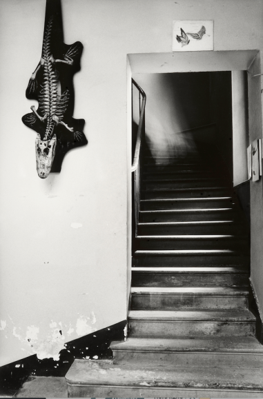 Le Fantôme de l'escalier au crocodile