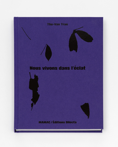 Thu-Van Tran. Nous vivons dans l'éclat