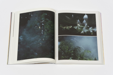 Pierre Huyghe. Liminal