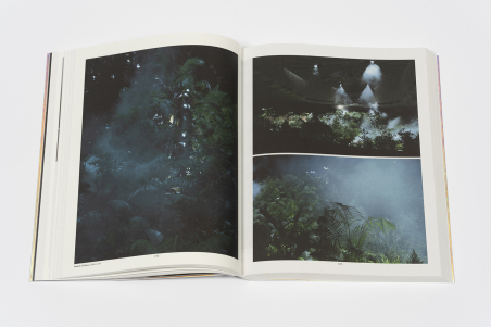 Pierre Huyghe. Liminal