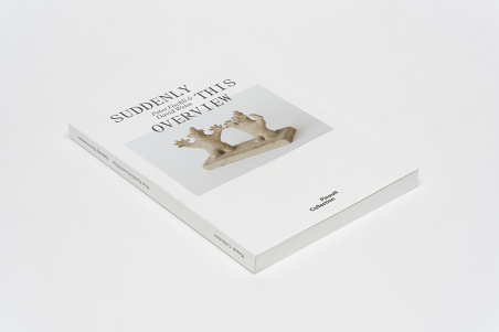 Suddenly This Overview. Peter Fischli & David Weiss