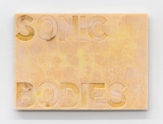 Skin Poems (Sonic Bodies)