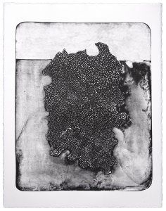Iceberg VII