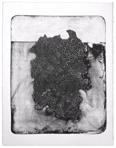Iceberg VII