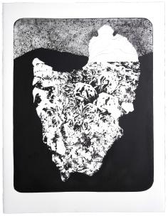 Iceberg VIII