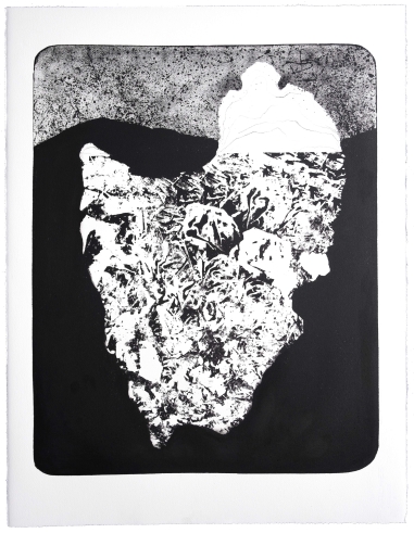 Iceberg VIII