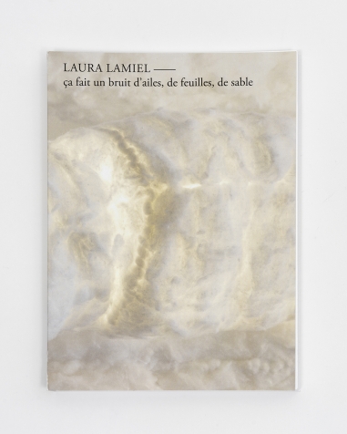 Laura Lamiel. ça fait un bruit...