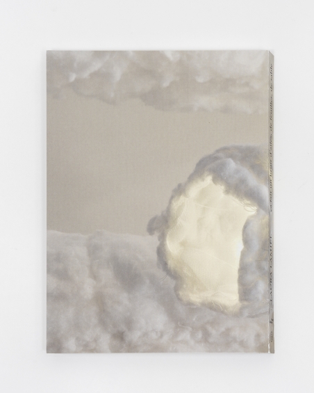 Laura Lamiel. ça fait un bruit d'ailes, de feuilles, de sable
