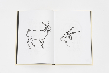 Animal Sketching (réédition)