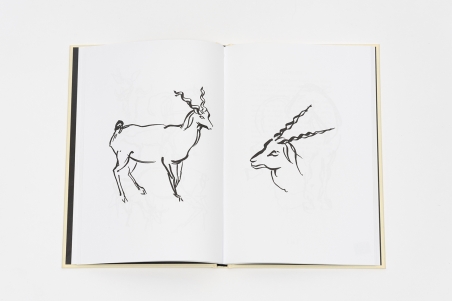 Animal Sketching (réédition)