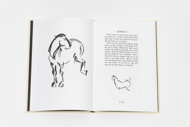 Animal Sketching (réédition)