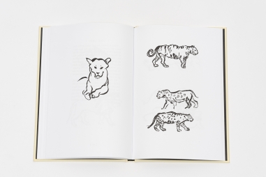 Animal Sketching (réédition)