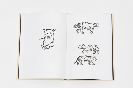 Animal Sketching (réédition)